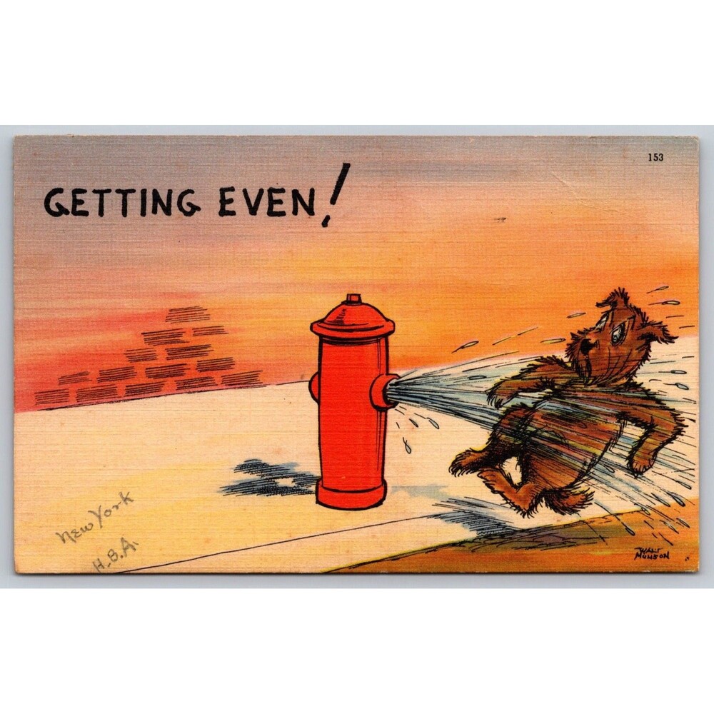 Postcard Comic Humor Fire Hydrant Sprays Water on Dog Getting Even Linen 1940 NY